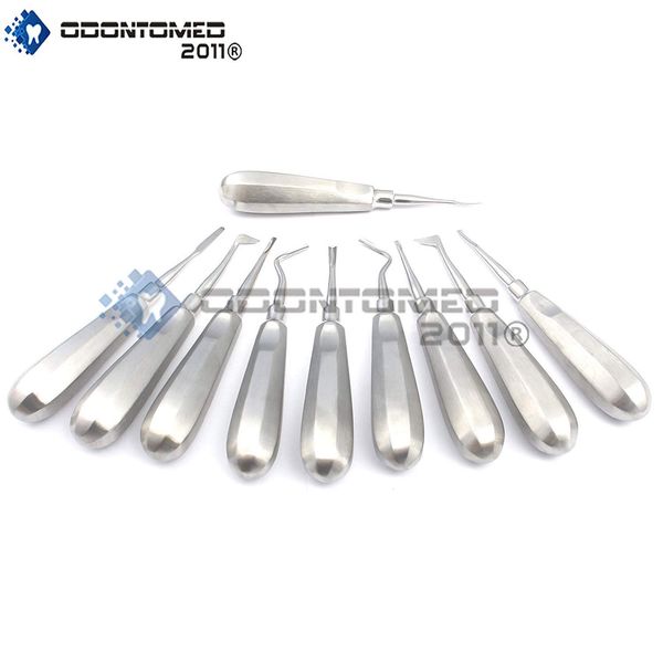 10 Dental Elevators Mix Surgical Medical Instruments,odm Brand