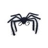 Bristol Novelty BA945 Spider Wing, Womens, Black, One Size