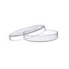 EISCO Petri Dish - 60x15mm Soda Glass- Eisco Labs