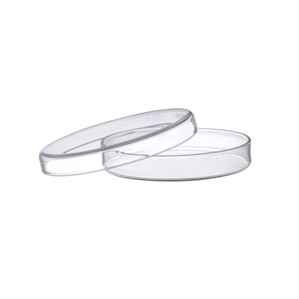 EISCO Petri Dish - 60x15mm Soda Glass- Eisco Labs