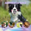 OKKIC Basket Muzzle Allows Panting Drinking, Anti Biting Chewing, Suitable for Grooming Trimming Training, Transparent, Size 2