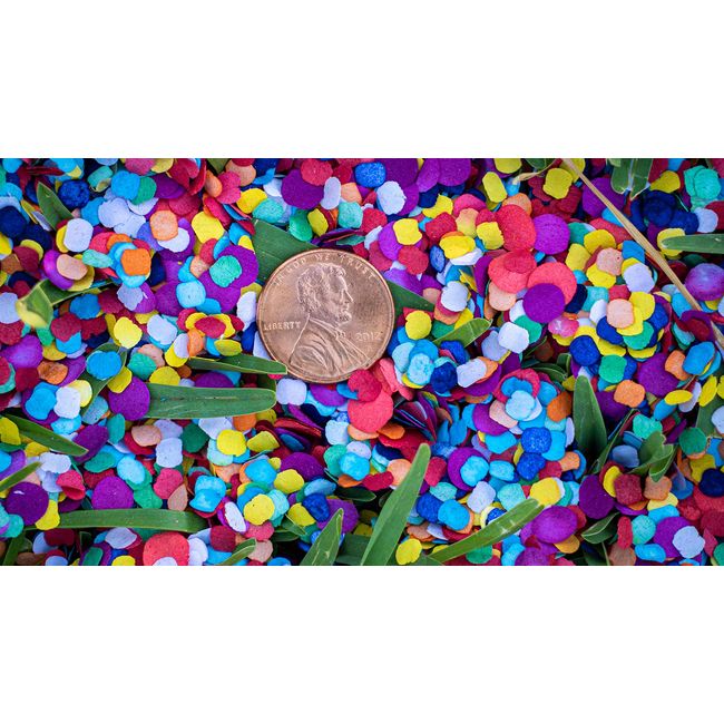 Fiesta Confetti.Value Mexican Colorful Paper Confetti. Jumbo Bag  .95lb/425gr.
