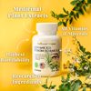 TODICAMP Vision Support Supplement with Lutein and Zeaxanthin Supplements