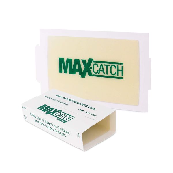 Catchmaster AA1170 72MAX Pest Trap, 72 Pack, White