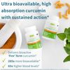 Longvida Lipidated Curcumin 500Mg, Ultra Bioavailable & Sustained Action, 65X...