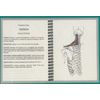 MUSCULAR SYSTEM ANATOMY FLASH CARDS PAK'S by Brian Edwards Publishing