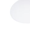 17.5" Diameter with 3/8" Center Hole Lampshade Diffuser    1 Pcs