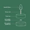Bolsius 4 hour burning Tealights, Bag "50"