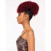 Janet Collection Playful Pineapple SPIRAL Ponytail (1B)