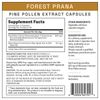 Forest Prana Pine Pollen Extract Capsules – 50:1 Extract – 120 Count Bottle