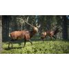 theHunter: Call of the Wild - PC