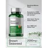 Brown Seaweed Extract 2000 Mg Fucoxanthin Supplement Marine Algae, 200 Capsules