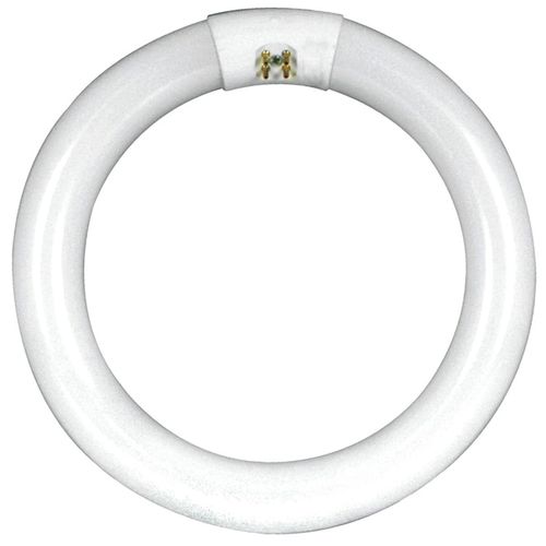 Feit Electric Fc16t10/Cw 40w 16 in. Circline, Cool White