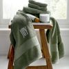 Legends Sterling Light Gray Solid Supima Cotton Wash Cloth (Set of 2)