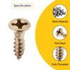 Wood Screw, Flat Head Countersunk 17 mm Length 3 mm Thread Diameter Brass Plated