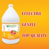 GreenFist Antimicrobial Foaming Hand Soap Refills Grapefruit Scent 1 Gallon (4x)