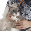 Neko-Ichi Nail Clippers for Cats That Cut Without Stress - -