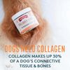 The Missing Link Collagen Care Hip & Joints Soft Chew Dogs 60 Soft Chews