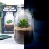 Gift Republic Light Up Terrarium - Create a magical mini garden.