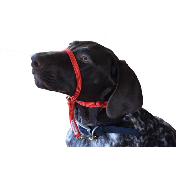 K9 Bridle - to stop your dog pulling (Medium, Red)