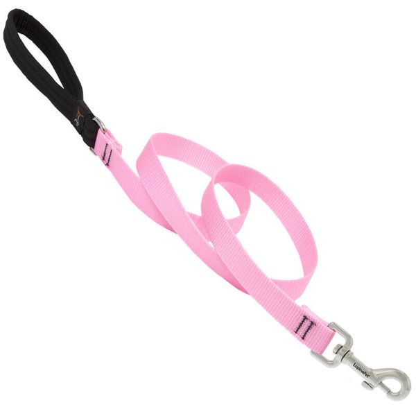 Lupine Pet Basic Solids Pink Pink Nylon Dog Leash (Pack of 2)