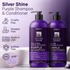 Purple Shampoo and Conditioner Gray Hair