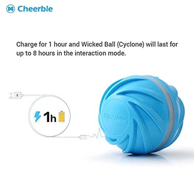 Wicked Ball SE: Smart Interactive Dog Toy for Small Breeds