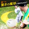 Receive Wiffle Ball Regular Import Goods Vinyl Pack and