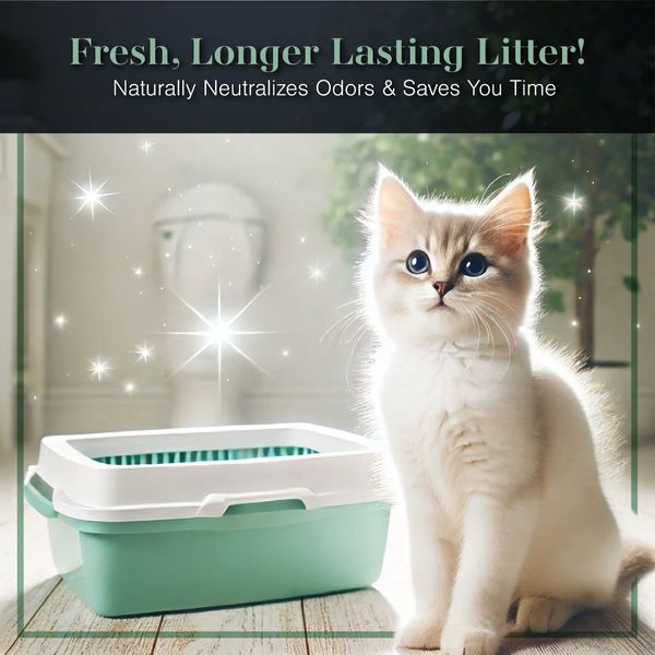 PurrEarth Litter Deodorizer