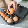 Koziol EGGS TO GO Egg Box, 10 Eggs, Storage Box with Clip Closure, Egg Container for Fridge, Plastic Egg Storage Box, Egg Box, Organiser, Natural Ash Grey