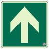 Unit Floor Sign 829-11A Arrow N Luminous