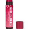 BURTS BEES Magnolia Tinted Lip Balm, 4.25 GR