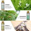 PHATOIL Premium Essential Oil Set - 9x10ML Pure Essential Oils for Massage, Aromatherapy, Diffusers, DIY - 0.33FL.OZ/Bottle