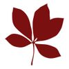 azutura Sycamore Leaf Wall Sticker Pack Burgundy