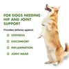 LIQUID-VET K9 Hip & Joint, Pot Roast, 16 oz