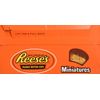 Reese's Miniature Peanut Butter Cups .31oz - 105 Cup Box