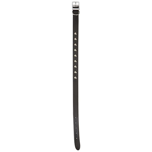 Ancol Leather Stud Collar, Black, 50-59 cm, Size 7