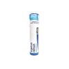 Boiron Argentum Nitricum 5C for Apprehension with Heartburn - 80 Pellets