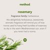 Method Dish Soap, Rosemary, 18 Ounce, 1 pack, Packaging May Vary