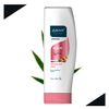 Above Nutrition Conditioner for Unisex - 10.9 oz Conditioner