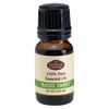 Fabulous Frannie Basil 100% Pure, Undiluted Essential Oil Therapeutic Grade - 10 ml. Great for Aromatherapy!