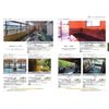 SHADY Catalog Gift EXCELLENT CHOICE Watercress