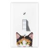 WIRESTER Single Gang Toggle Light Switch Plate/Wall Plate Cover - Calico Kitten Cat