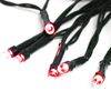 Holiday Time Red Micro LED Battery Operated Lights