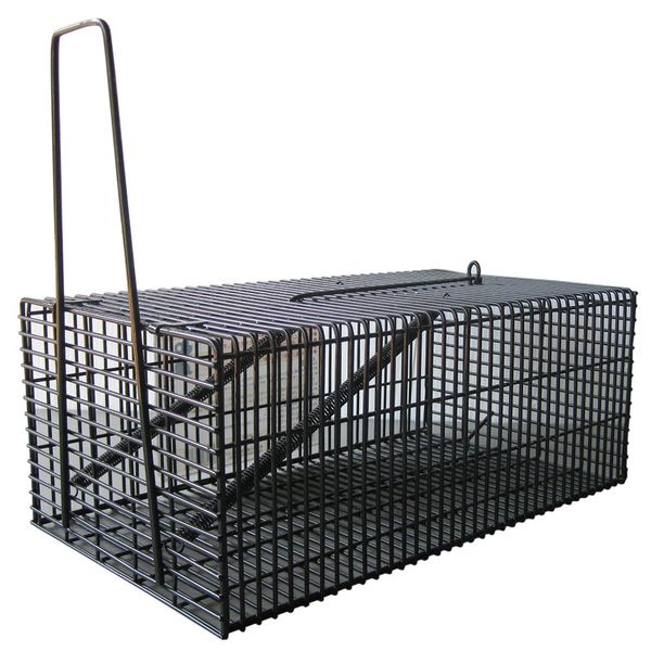 compal black square house