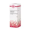 DHU Echinacea D12 Dilution, 20 ml Lösung