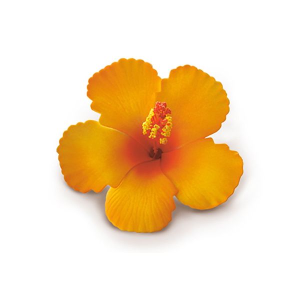 Hibiscus Clip Foam Flower - Orange