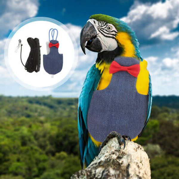 Pañales Para Diapers for Cockatoos Pet Parrot Flight Suit Bird Clothes