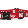 Nebraska Cornhuskers Collars and Leashes | Officially Licensed | Fits All Pets! (Medium Collar)