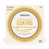 D'Addario EJ96 Cuatro-Puerto Rico Strings